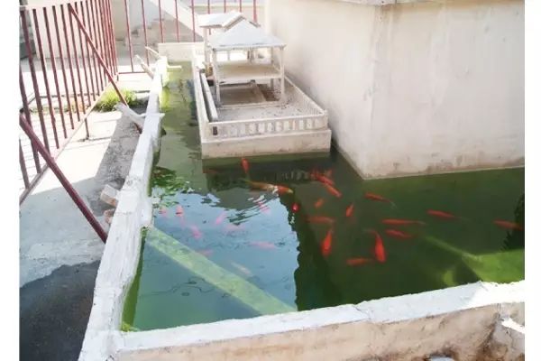 装配式建筑是现代中国落实“大国智造”的重要变革！